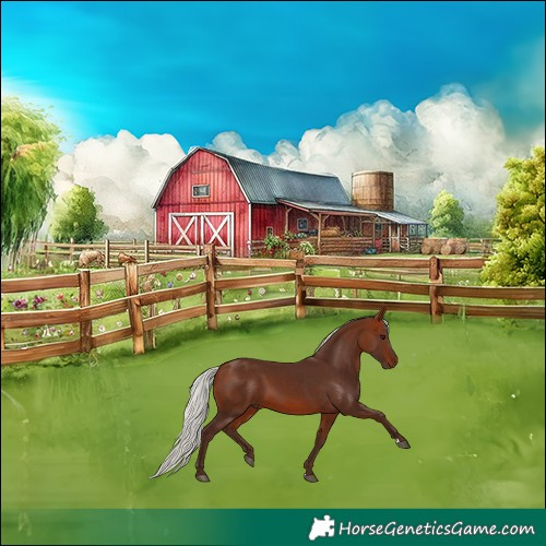 Horse Color:Silver Bay 