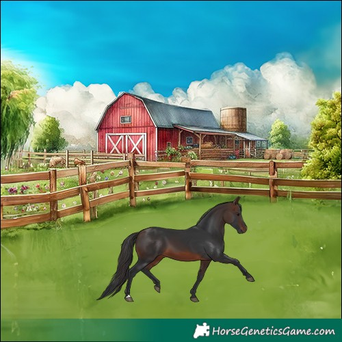Horse Color:Brown 