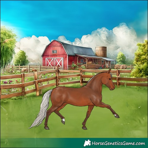 Horse Color:Silver Bay 