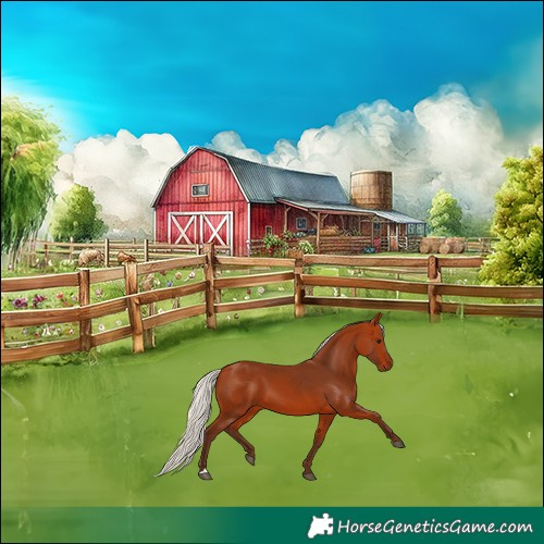 Horse Color:Silver Bay