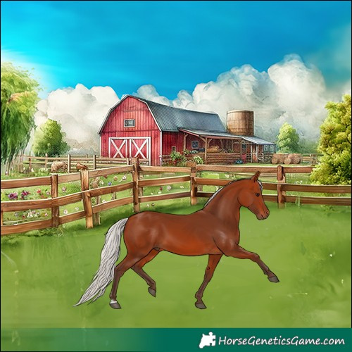 Horse Color:Silver Bay