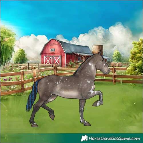 Horse Color:Painted White Spotted Brown Dun