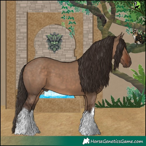Horse Color:White Spotted Liver Red Dun 