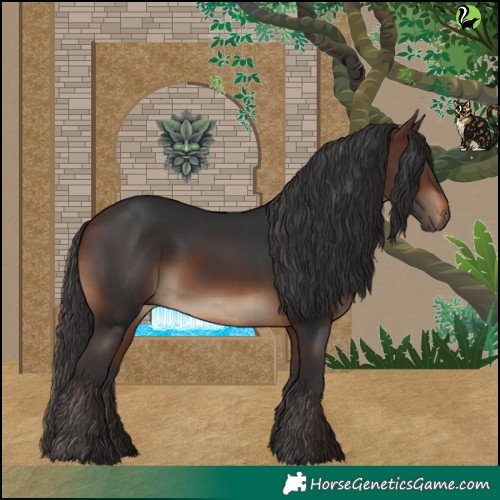 Horse Color:White Spotted Brown