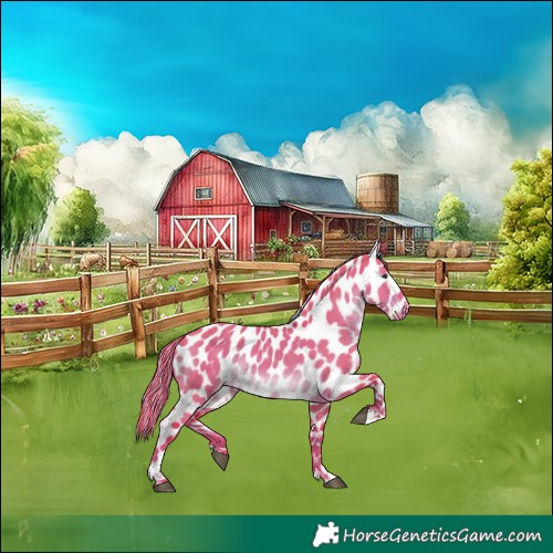Horse Color:Painted Watercolor Liver Red Dun Appaloosa
