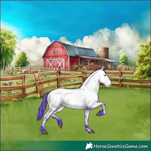 Horse Color:Painted Watercolor White Spotted Brown Dun Appaloosa