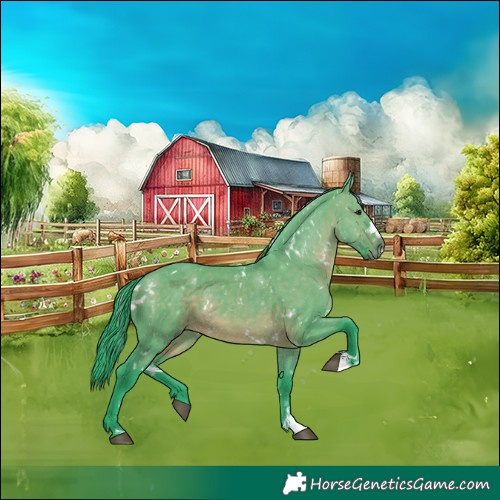 Horse Color:Watercolor White Spotted Brown Dun
