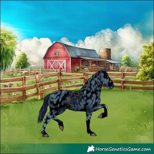 Horse Color:ERROR: UNKNOWN ANOMALY