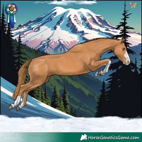 Horse Color:Chestnut Splash Tobiano 