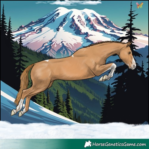 Horse Color:Chestnut Splash Tobiano 