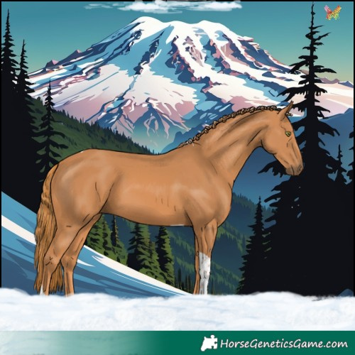 Horse Color:Chestnut Tobiano
