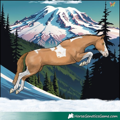 Horse Color:Chestnut Splash Tobiano 