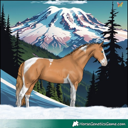 Horse Color:Chestnut Splash Tobiano
