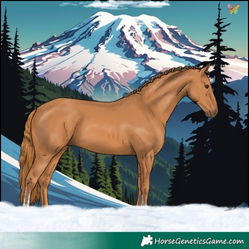 Horse Color:Chestnut Tobiano