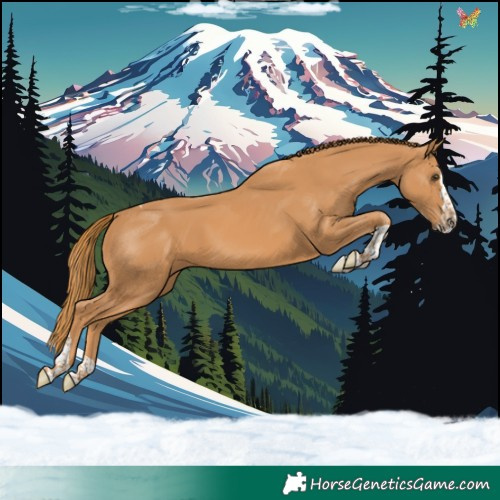 Horse Color:Chestnut Splash Tobiano