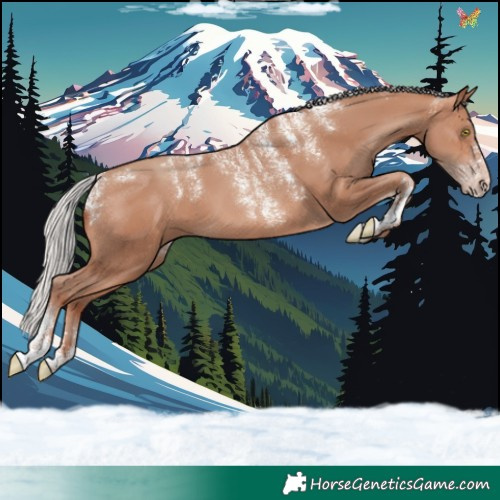 Horse Color:Powder White Silver Sable Champagne 