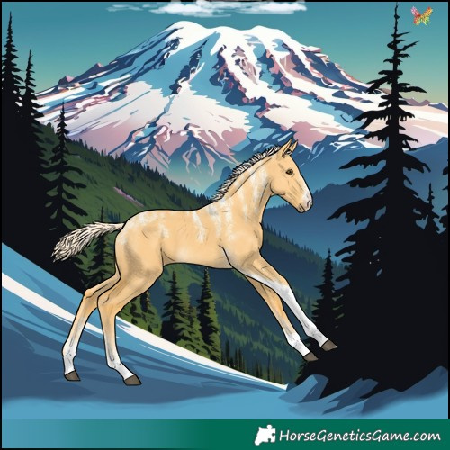Horse Color:Powder White Palomino Dun Tobiano