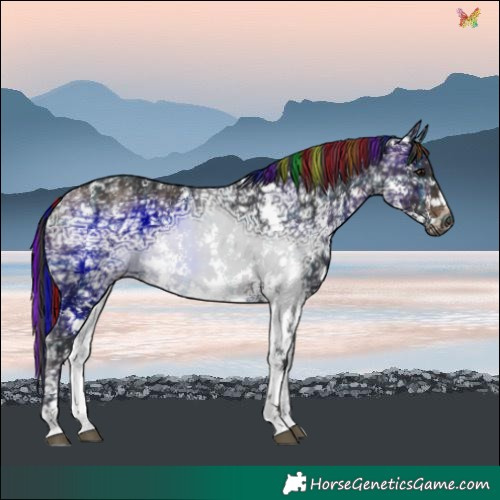 Horse Color:Painted Plaid Brown Ice Sabino Splash