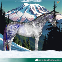 Horse Color:Painted Plaid Brown Ice Sabino Splash