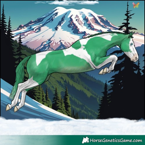 Horse Color:Watercolor Brown Splash Tobiano