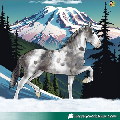 Horse Color:Plaid  White Spotted Brown Splash 