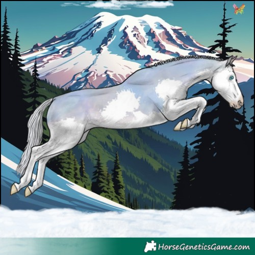 Horse Color:Watercolor Silver Classic Cream Champagne Splash Tobiano