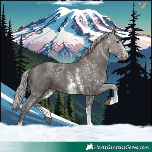 Horse Color:Silver Black Sabino