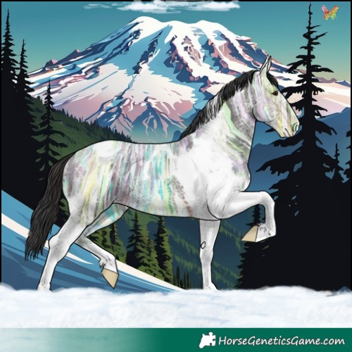 Horse Color:Brown Ice Tobiano 