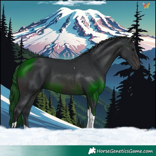 Horse Color:Brown Tobiano