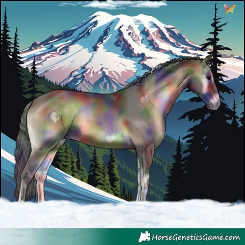Horse Color:Nacre Brown Onyx