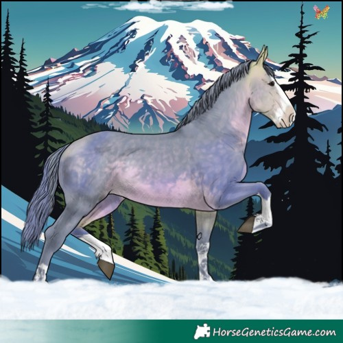 Horse Color:Watercolor Buckskin Splash 
