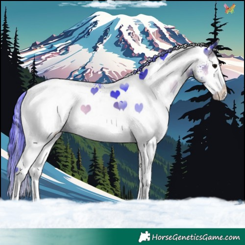 Horse Color:Watercolor White Spotted Brown Onyx Splash 