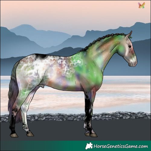Horse Color:Void Nacre Brown Ice Onyx Tobiano