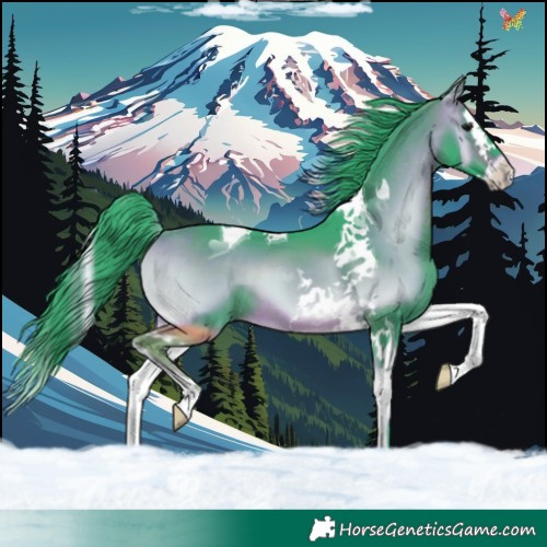 Horse Color:Watercolor Bay Onyx Splash Tobiano 