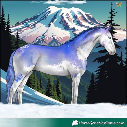Horse Color:Watercolor Buckskin Onyx Splash Tobiano 