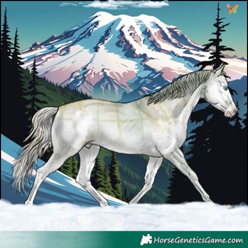 Horse Color:Watercolor Plaid Silver Brown Onyx Splash Tobiano