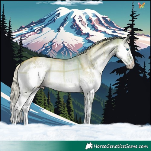 Horse Color:Watercolor Plaid Silver Brown Onyx Splash Tobiano