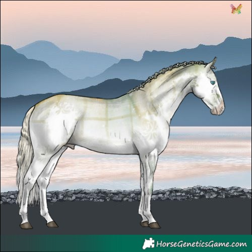 Horse Color:Watercolor Plaid Silver Brown Onyx Splash Tobiano
