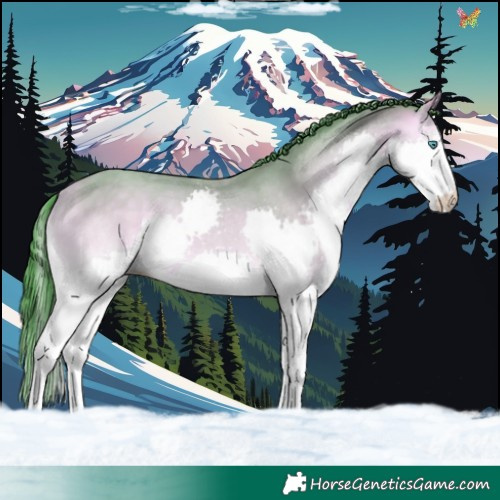Horse Color:Platinum Watercolor Sable Cream Champagne Onyx Splash
