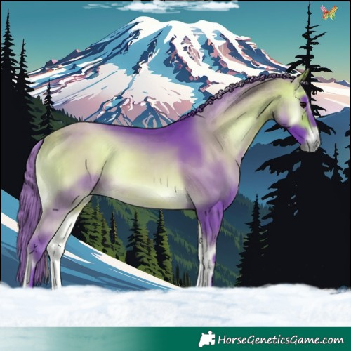 Horse Color:Watercolor Buckskin Onyx Tobiano 