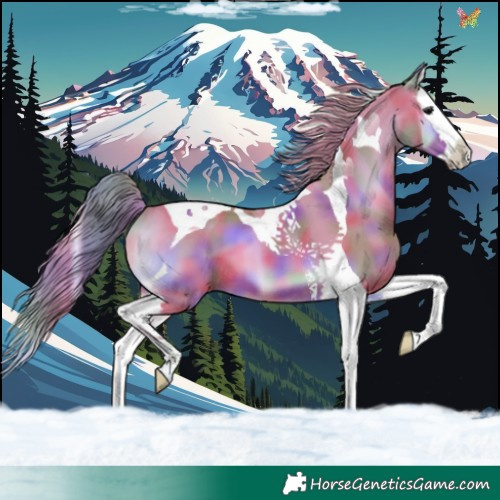 Horse Color:Nacre Watercolor Brown Onyx Splash Tobiano 