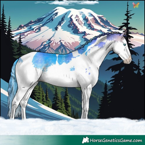 Horse Color:Watercolor White Spotted Chocolate Buckskin Splash Tobiano 