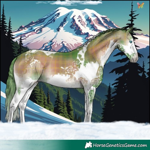 Horse Color:Watercolor Plaid  Buckskin Onyx Splash Tobiano 