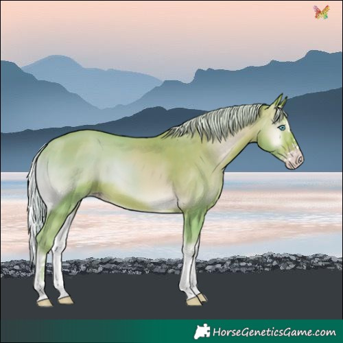Horse Color:Watercolor Silver Sable Champagne Onyx Splash