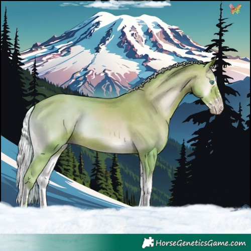 Horse Color:Watercolor Silver Sable Champagne Onyx Splash