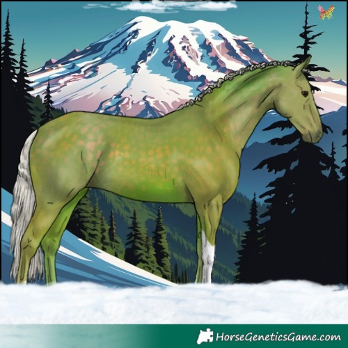 Horse Color:Watercolor Silver Smoky Black Tobiano 