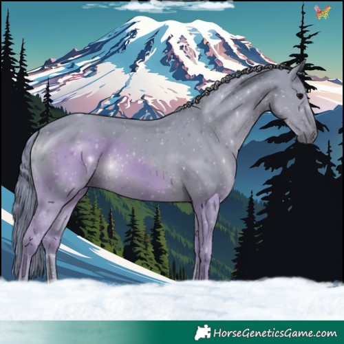 Horse Color:Watercolor Black