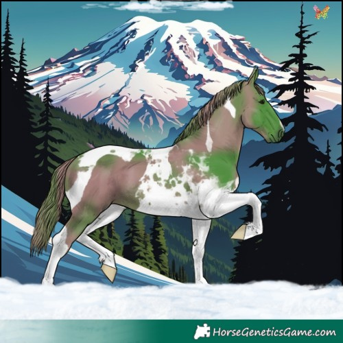 Horse Color:Watercolor Smoky Black Tobiano 