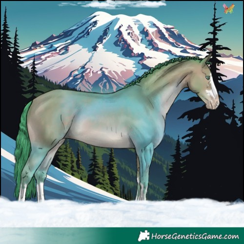 Horse Color:Watercolor Amber Champagne 