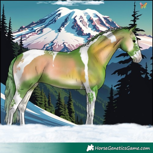 Horse Color:Watercolor Blue Onyx Splash Tobiano